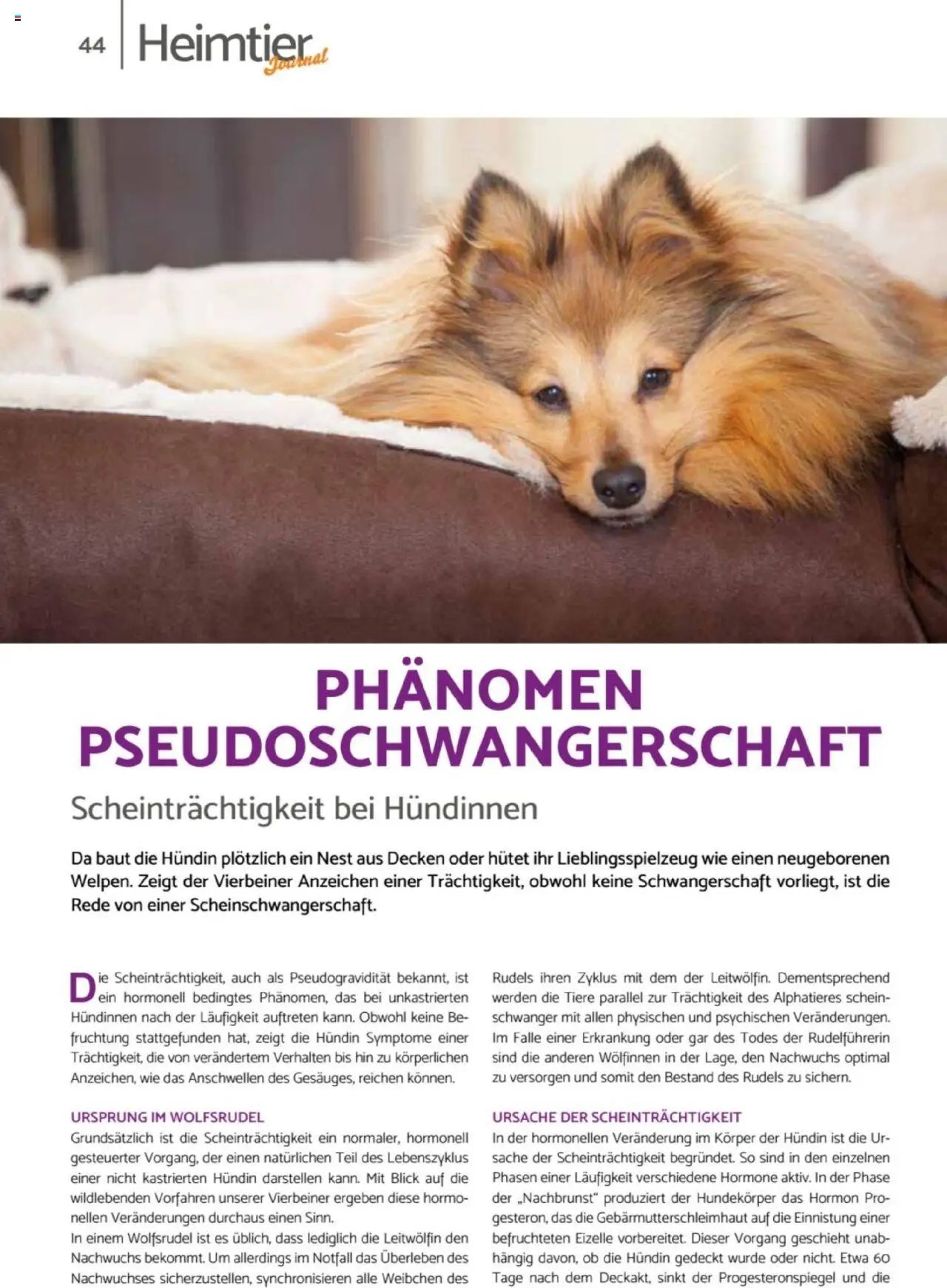 zookauf  Heimtier Journal - gültig ab dem 21.07.2025 | Seite: 44