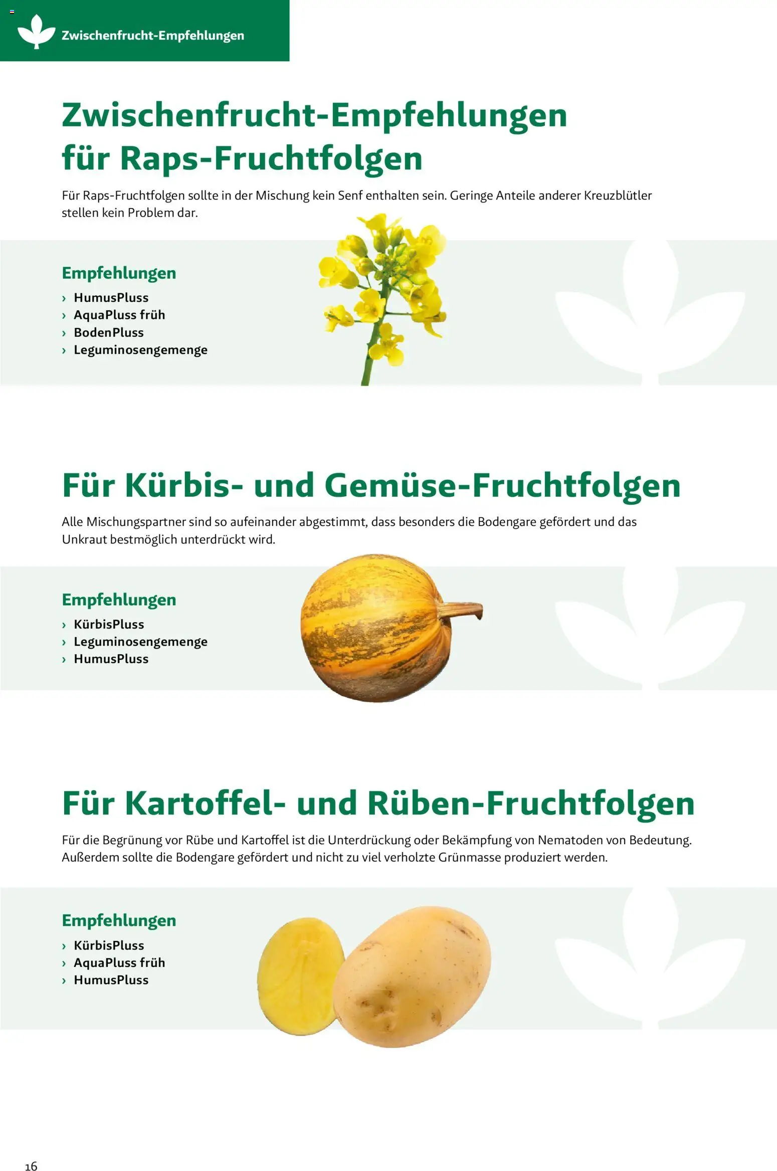 Lagerhaus Zwischenfrüchte und Begrünungen 2026 gültig ab 26.03.2026 | Seite: 16 | Produkte: Kürbis