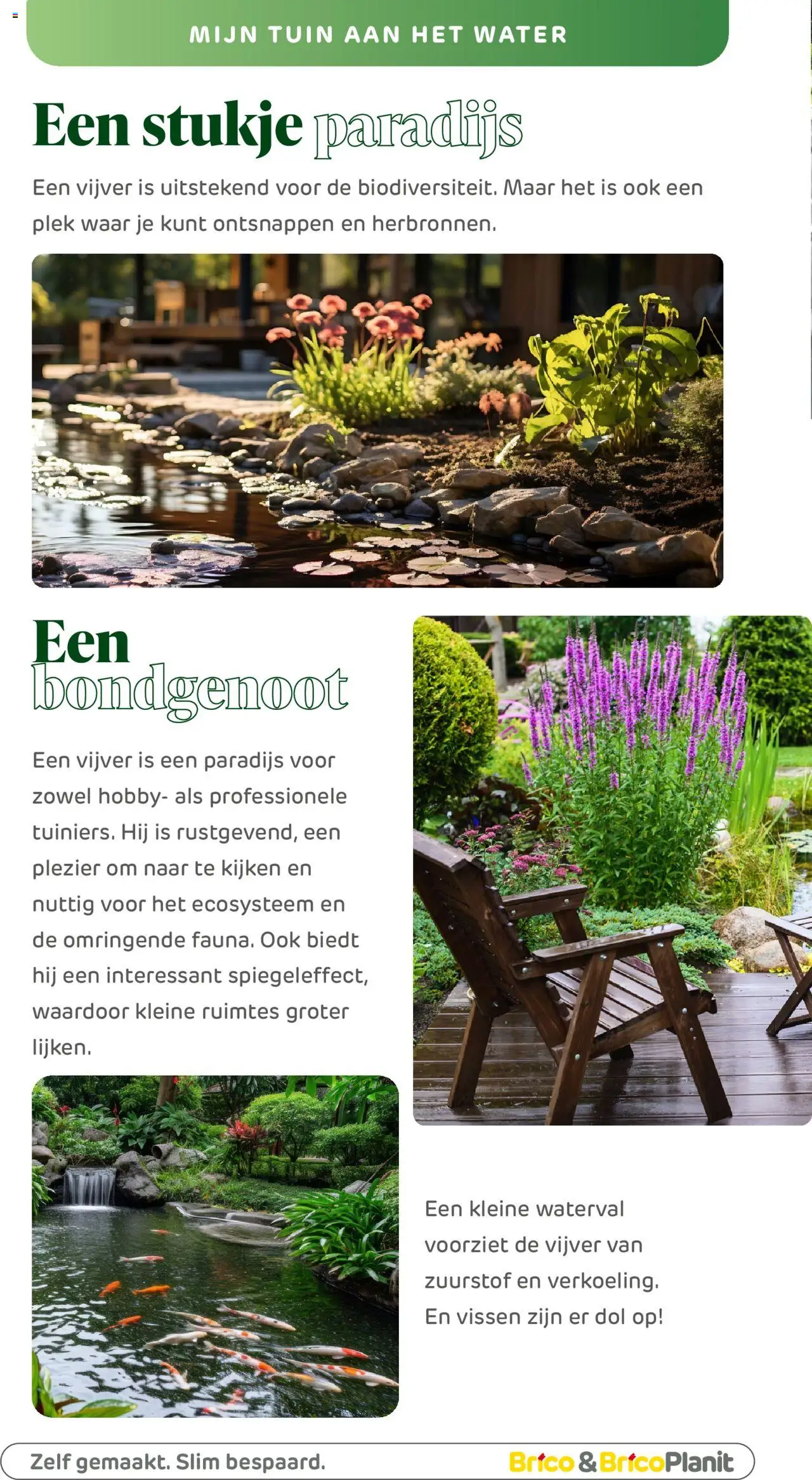  | Pagina: 229