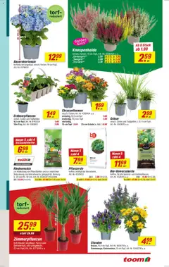 Toom Baumarkt Prospekt - gültig ab dem 11.08.2025 | Seite: 3 | Produkte: Rindenmulch, Pflanzerde, Gemüse