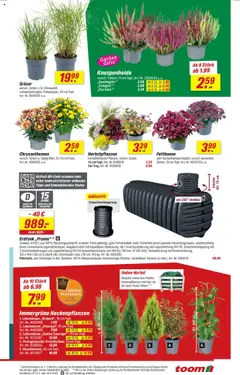 Toom Baumarkt Prospekt - gültig ab dem 16.08.2025 | Seite: 3