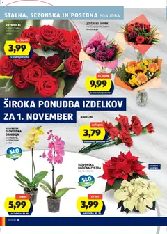 Hofer katalog akcije – veljaven od 23.10.2025 | Stran: 38
