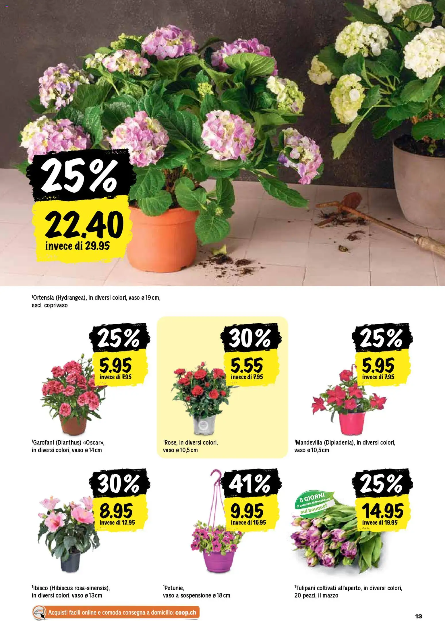 Coop aktionen IT – gültig ab 16.04.2026 | Seite: 13