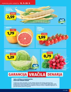 Novi Hofer katalog ponudbe – veljaven od 11.09.2025 | Stran: 15 | Izdelki: Vestido de baño, Paradiznik, Zelje