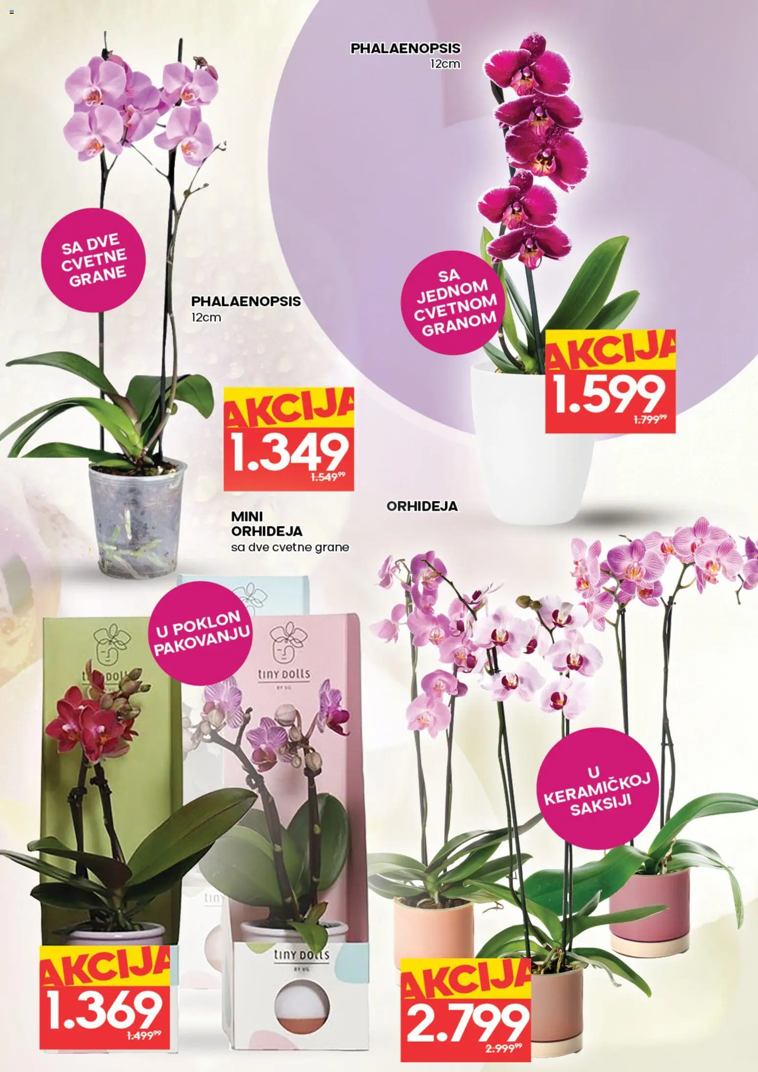 Roda katalog - važi od 05.03.2026 | Strana: 2 | Proizvode: Orhideja