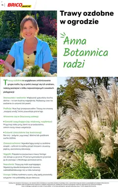 Pogląd oferty "Brico Marché gazetka - Wiosna" - ważna od 04.03.2026 | Strona: 75 | Produkty: Trawy, Rosliny