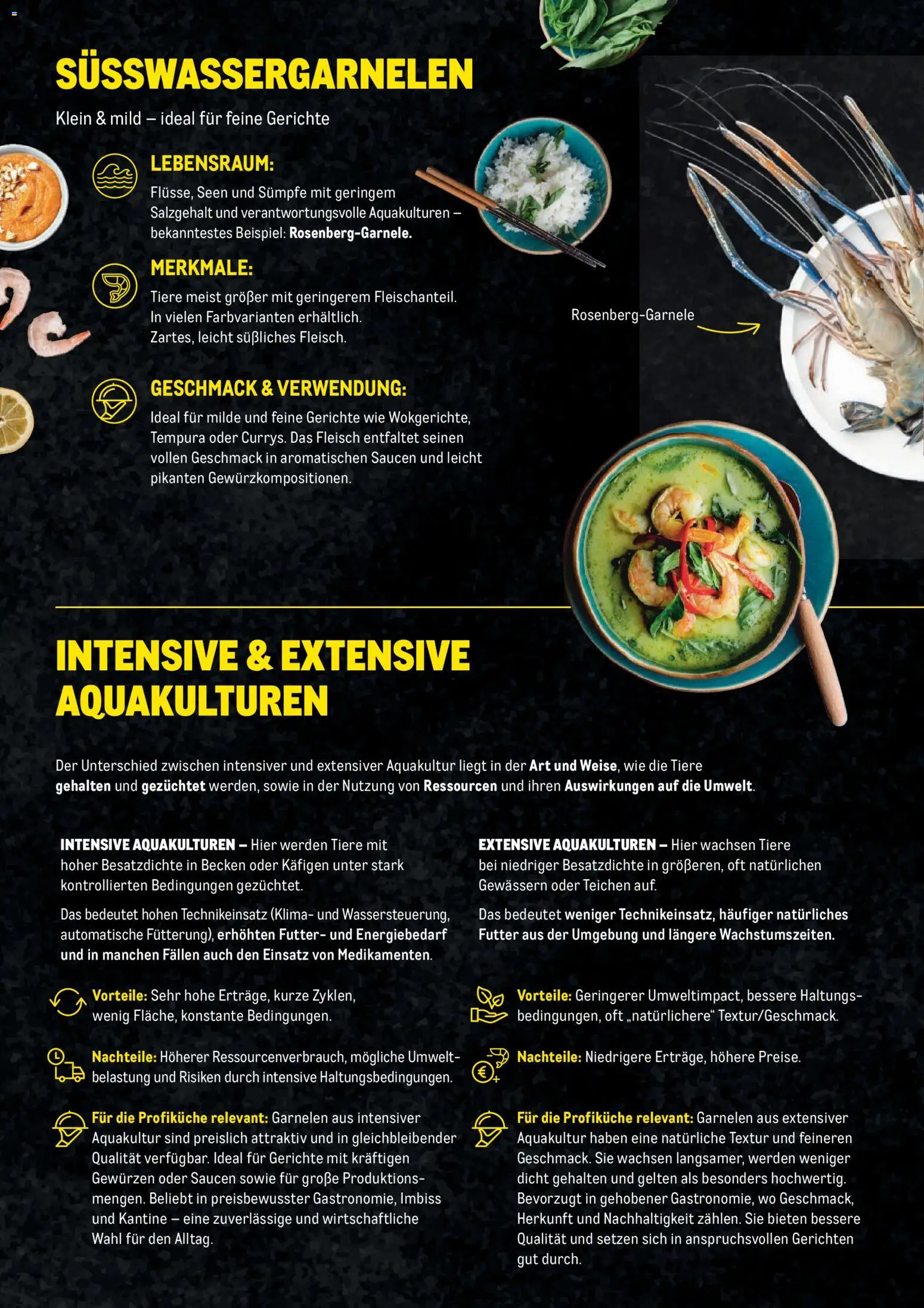 Metro Garnelen Folder gültig ab 27.11.2025 | Seite: 4