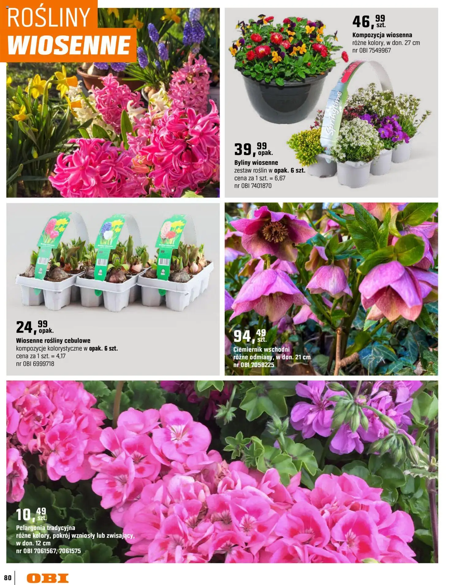 OBI gazetka - Ogród od 11.03.2026 | Strona: 80 | Produkty: Rosliny