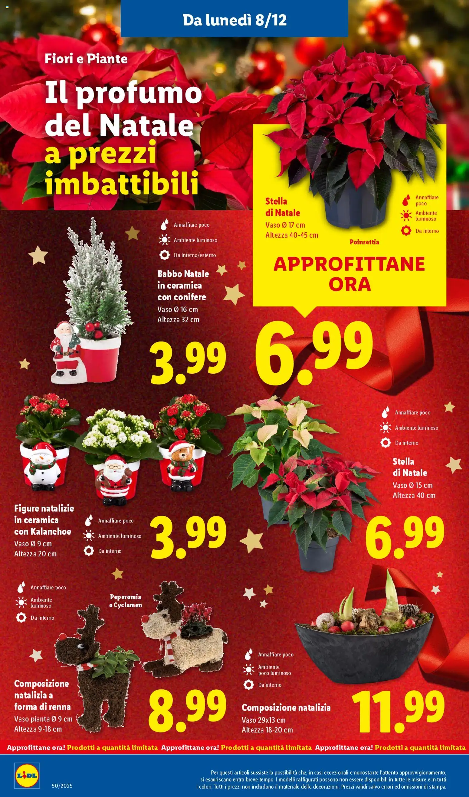 Volantino Lidl del 08.12.2025 | Pagina: 32