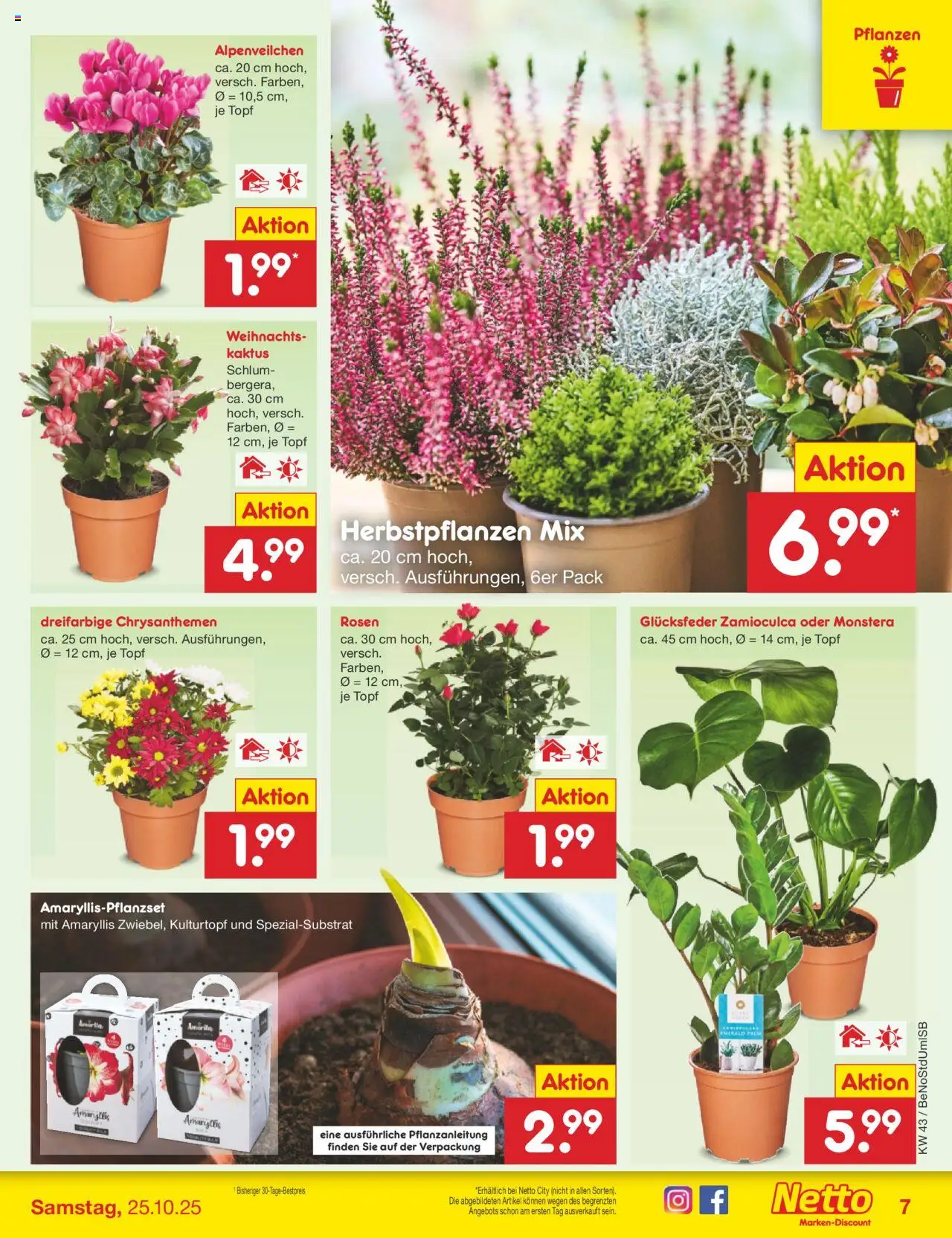 Netto Marken-Discount Prospekt 	 – gültig ab 20.10.2025 | Seite: 13