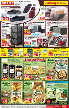 Norma Prospekt 	 ab 26.01.2026 gültig | Seite: 5 | Produkte: Sitzwürfel, Box, Korb, Champignons