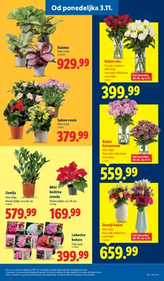 Lidl katalog - pregled Lidl kataloga - važi od 30.10.2025 | Strana: 55