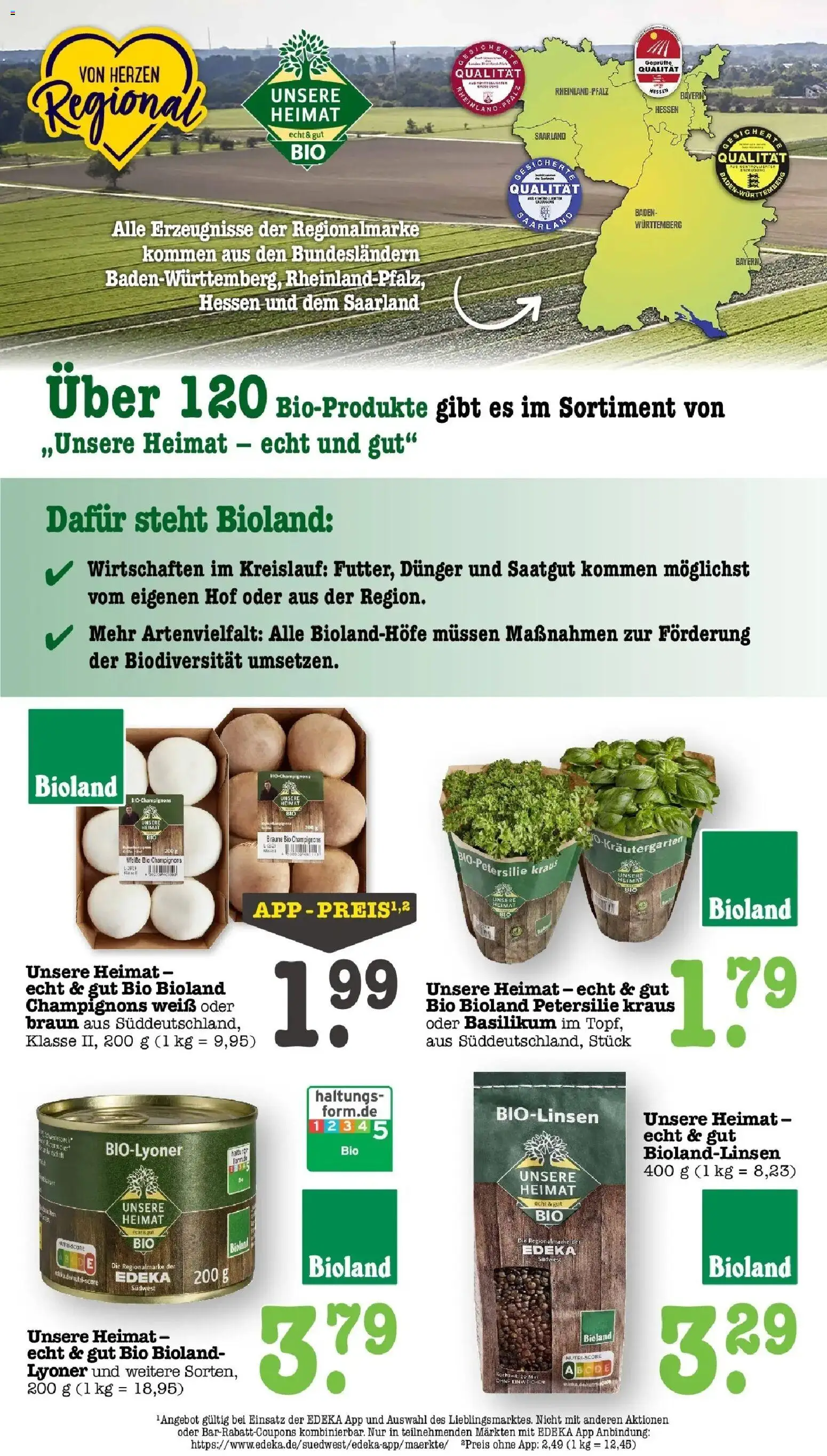 Edeka prospekt Offenbach	 – gültig ab 09.03.2026 | Seite: 29 | Produkte: Champignons, Petersilie