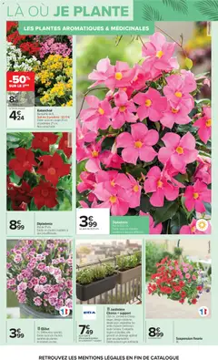 Carrefour - Prévisualisation de Carrefour Jardin plantation et mobilier valide à partir de 14.04.2026 | Page: 4 | Produits: Jardinière, Dipladénia, Suspension, La suspension