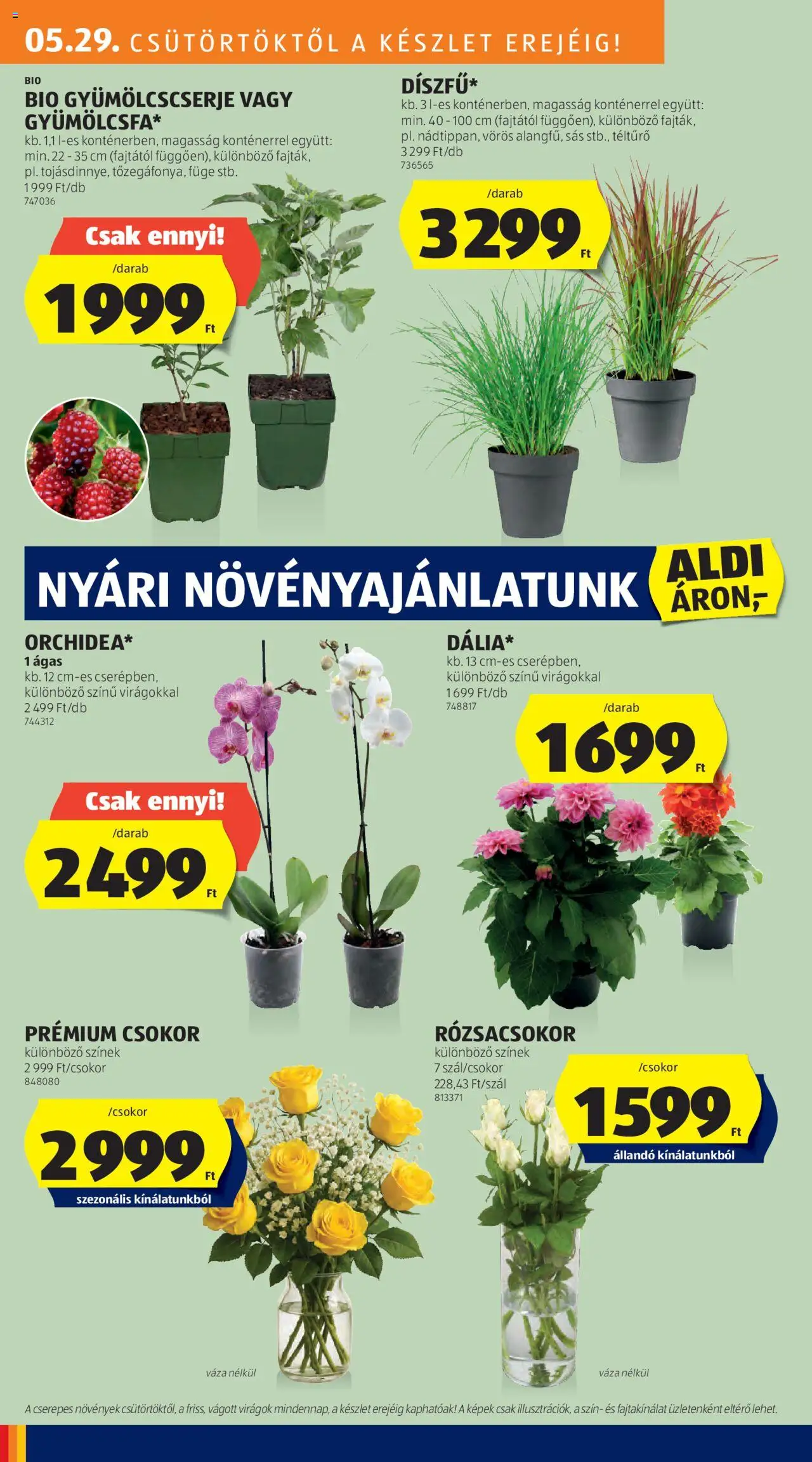 Aldi akciós ujság - amely érvényes a következő dátumtól: 29.05.2025 | Oldal: 30 | Termékek: Virágok, Váza, Füge