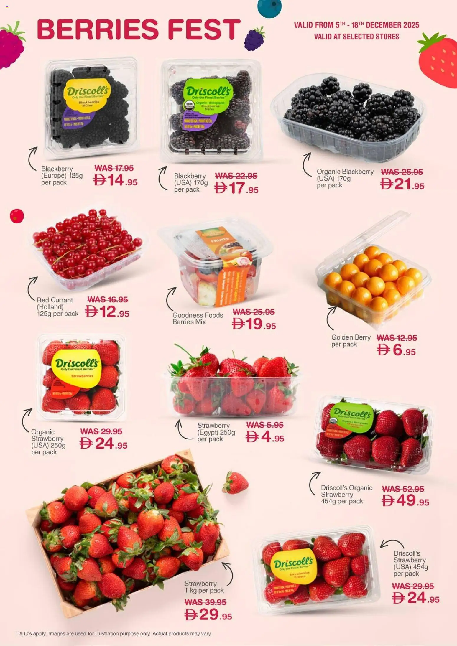 {H1} | Page: 2 | Products: Burro