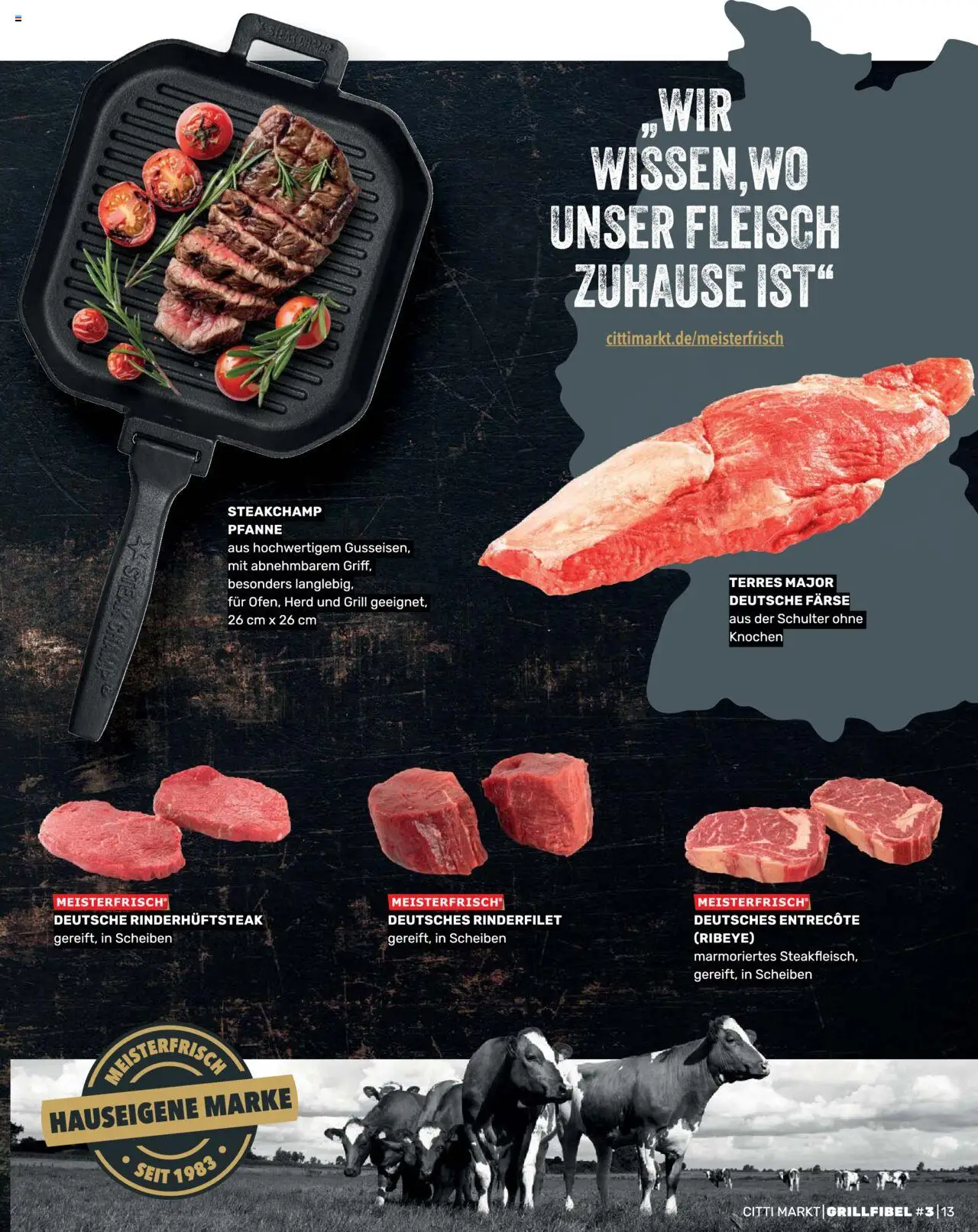 CITTI Markt Grill Fibel - gültig ab dem 25.06.2025 | Seite: 13 | Produkte: Grill, Rinderfilet, Entrecote, Fleisch