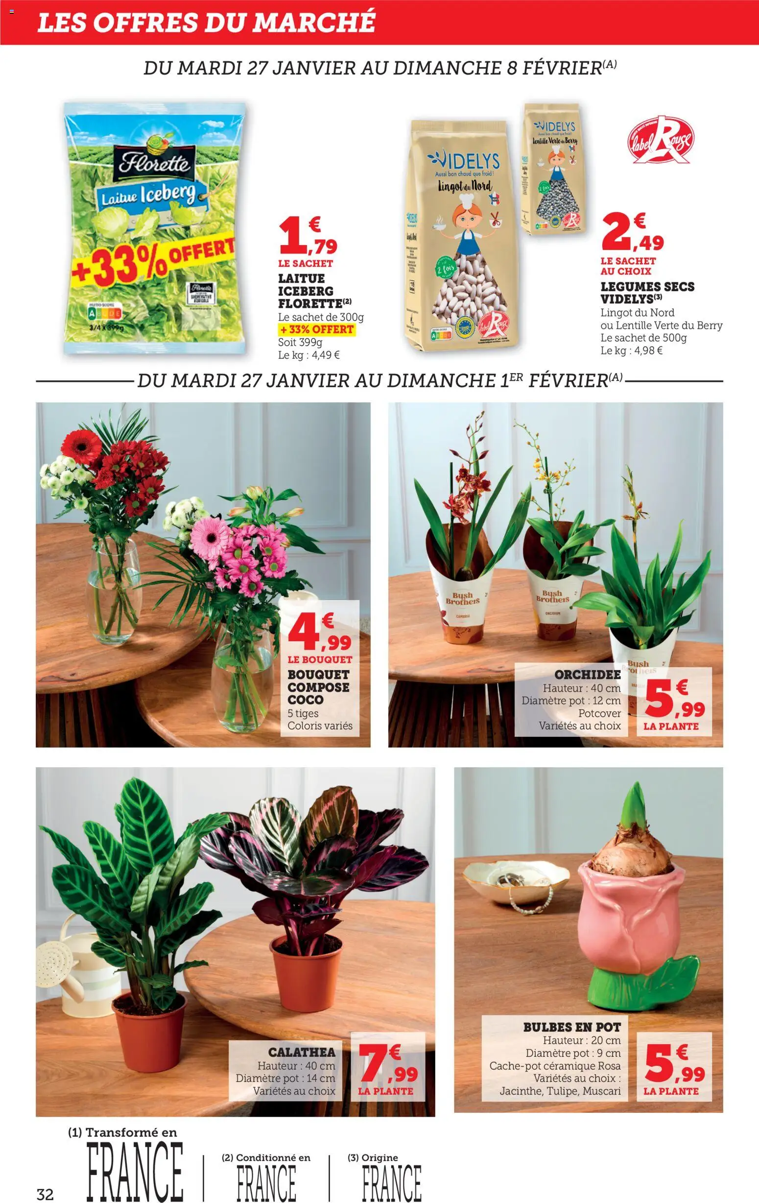 {H1} | Page: 32 | Produits: Laitue, Orchidée, Lentille