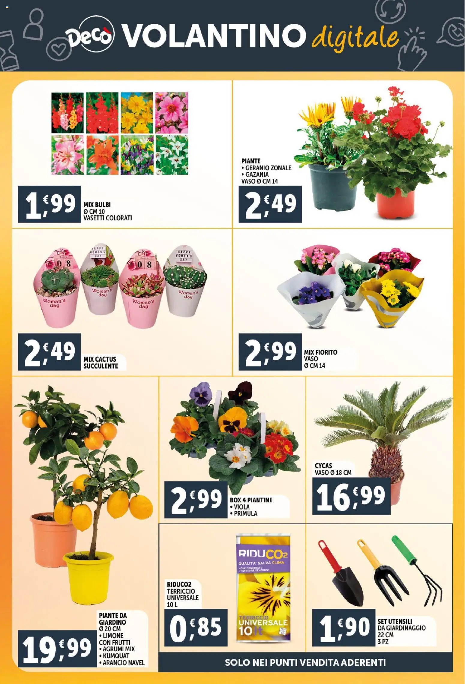 Volantino Decò del 06.03.2026 | Pagina: 31 | Prodotti: Agrumi, Cactus, Terriccio, Vaso