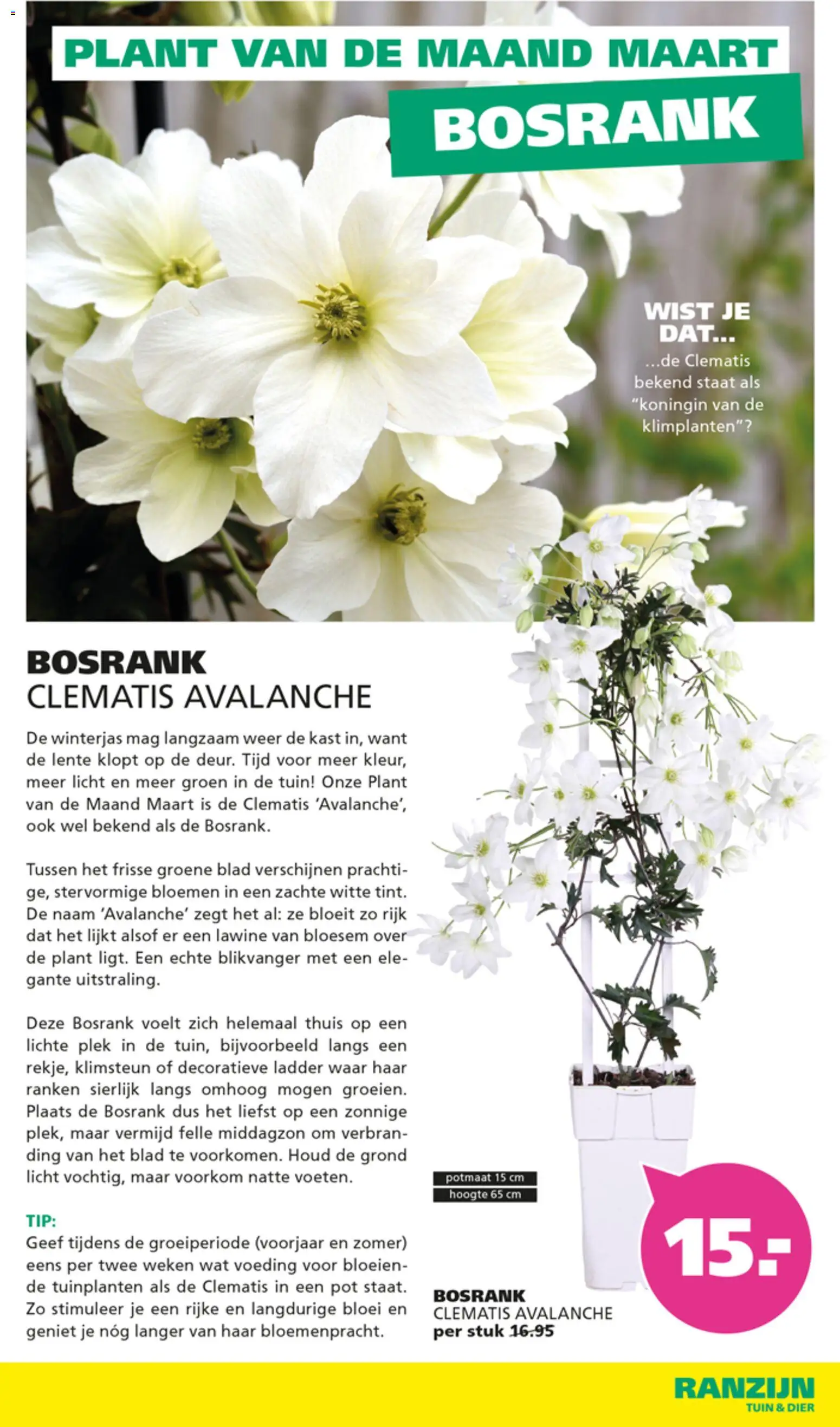 {H1} | Pagina: 3 | Producten: Ladder, Bloemen, Kast, Winterjas