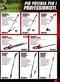 Anteprima del volantino Volantino Einhell	 valido a partire dal 02.02.2026 | Pagina: 3 | Prodotti: Tagliasiepi, Decespugliatore, Alluminio, Batteria