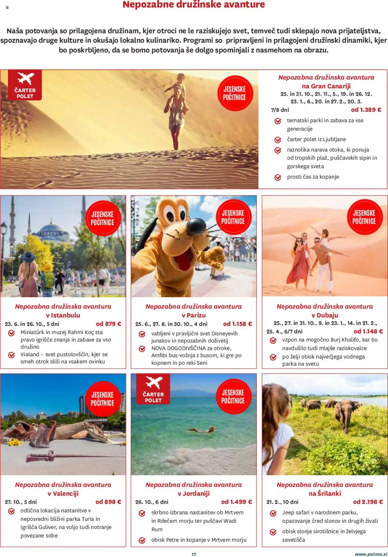 Novi Palma katalog ponudbe – veljaven od 01.08.2025 | Stran: 17