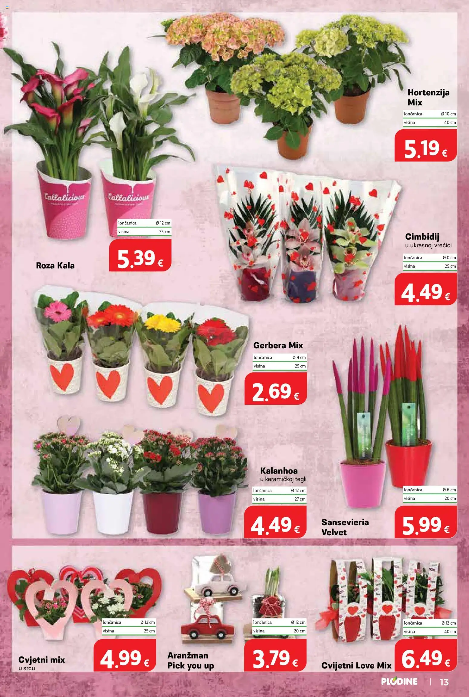 Plodine katalog | vrijedi od 04.03.2026 | Stranica: 13