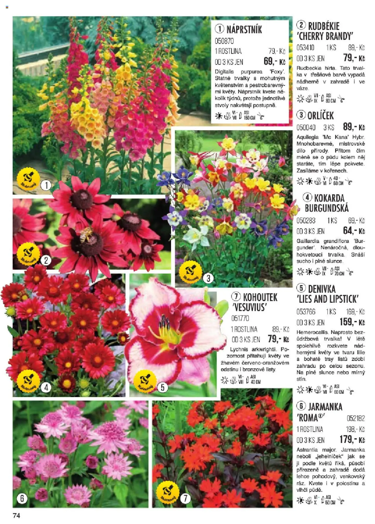Starkl katalog jaro 2024 od 06.01.2025 | Strana: 74 | Produkty: Brandy