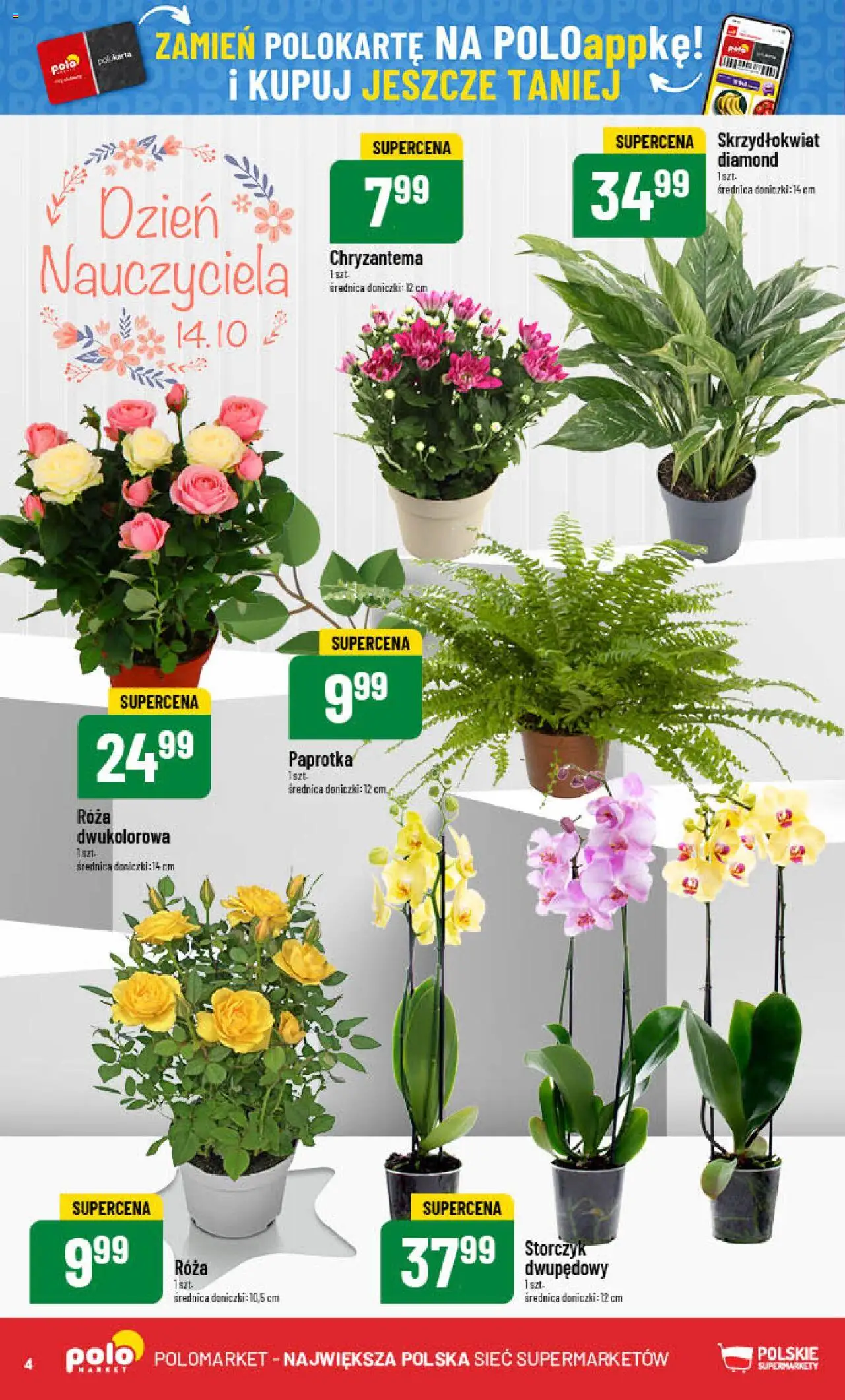 POLOmarket Gazetka od 08.10.2025 | Strona: 4 | Produkty: Doniczki, Storczyk