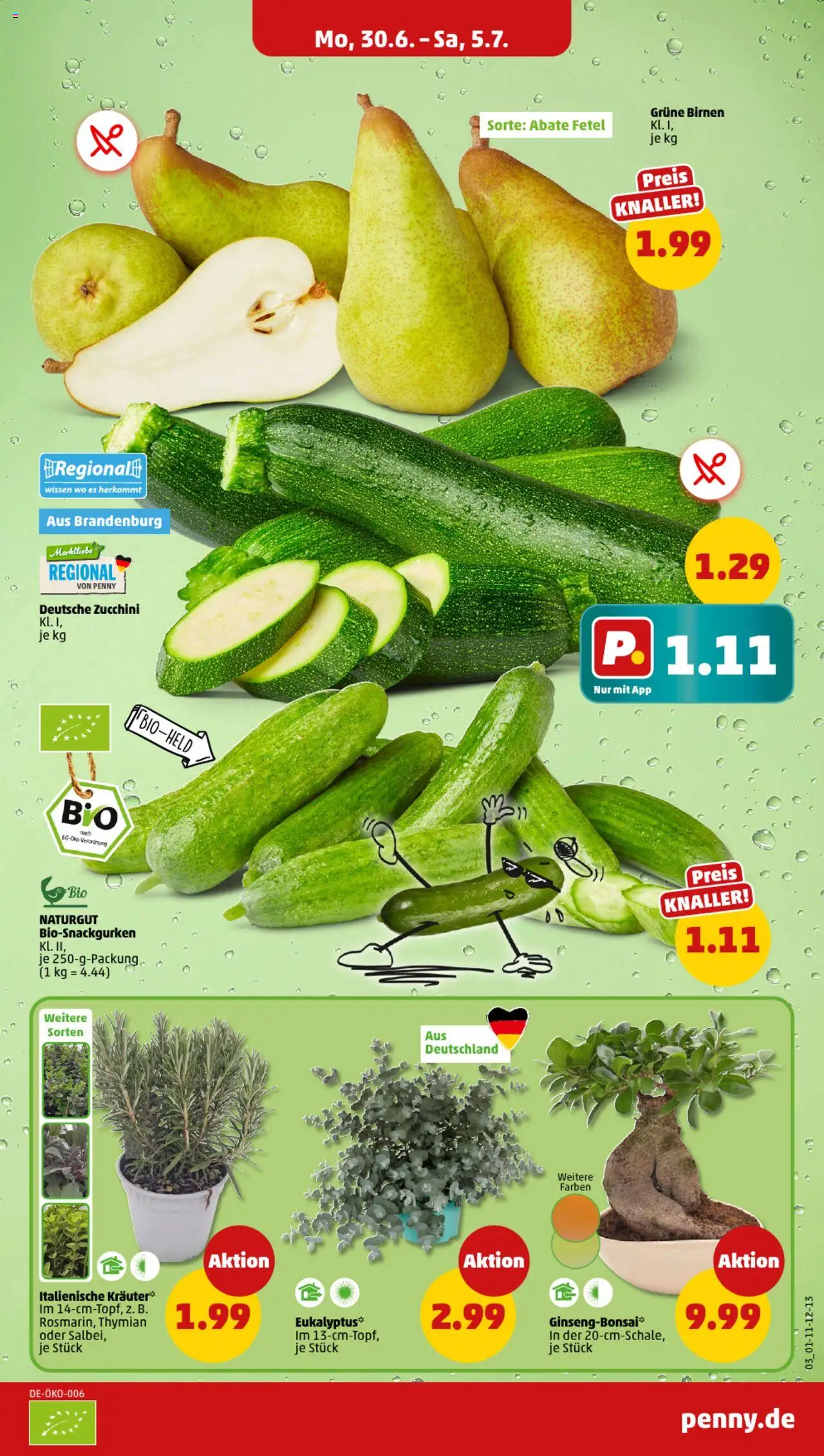 Penny Prospekt 	 - gültig ab dem 30.06.2025 | Seite: 3 | Produkte: Zucchini