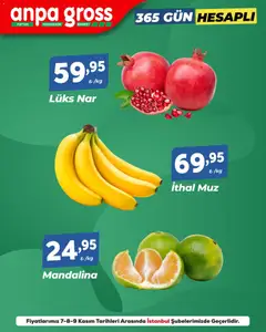 07.11.2025 tarihinden itibaren geçerli olan Anpa Gross kataloğu önizlemesi