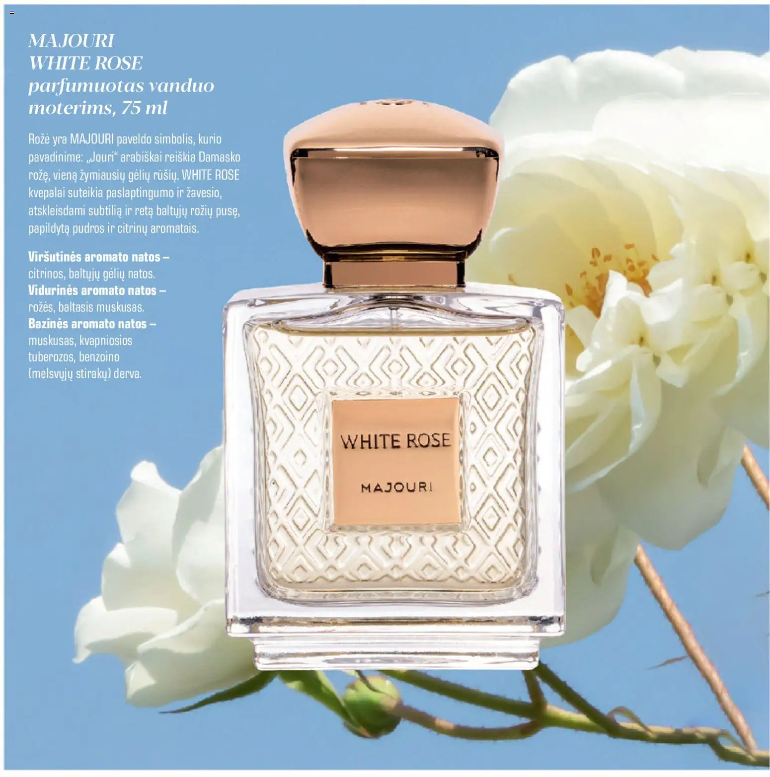 Eurokos akcijos nuo 25.11.2025 | Puslapis: 18 | Prekių: Parfumuotas vanduo, Kvepalai