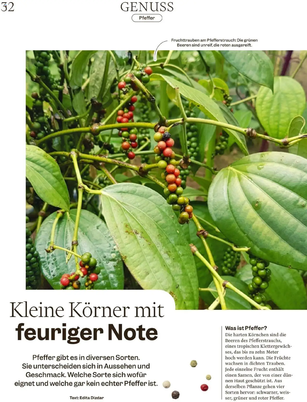 Migros Magazin – gültig ab 06.10.2025 | Seite: 32 | Produkte: Früchte, Pfeffer