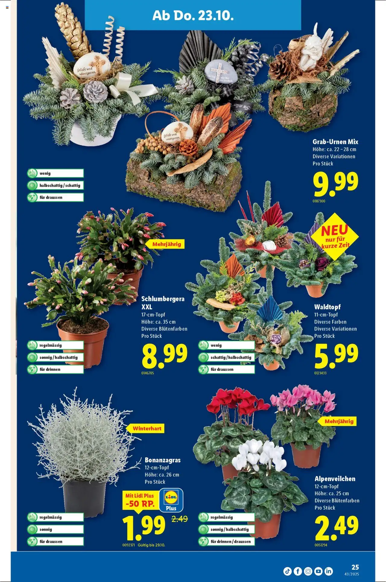 Lidl Aktionen – gültig ab 23.10.2025 | Seite: 25