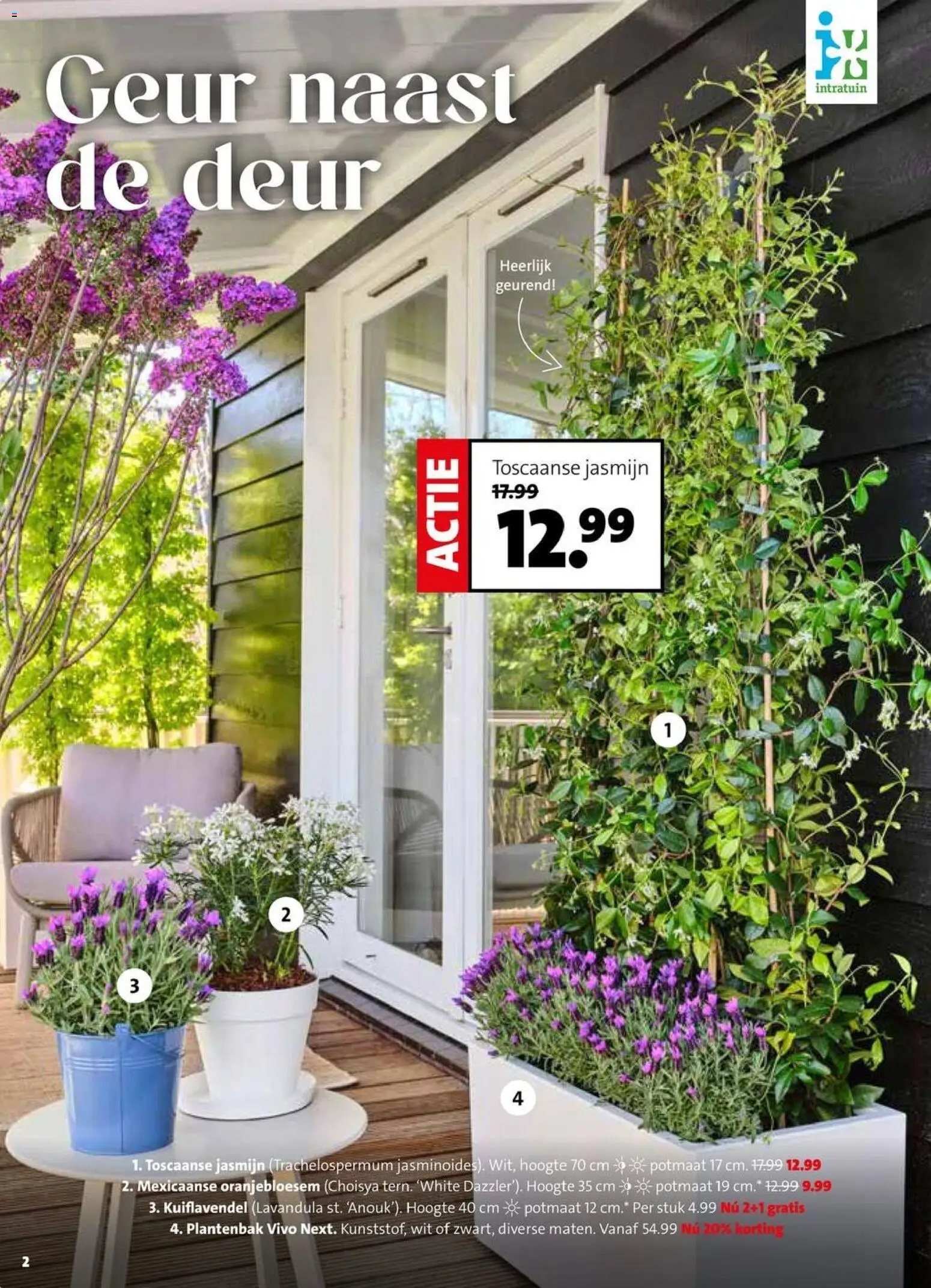 {H1} | Pagina: 2 | Producten: Geur