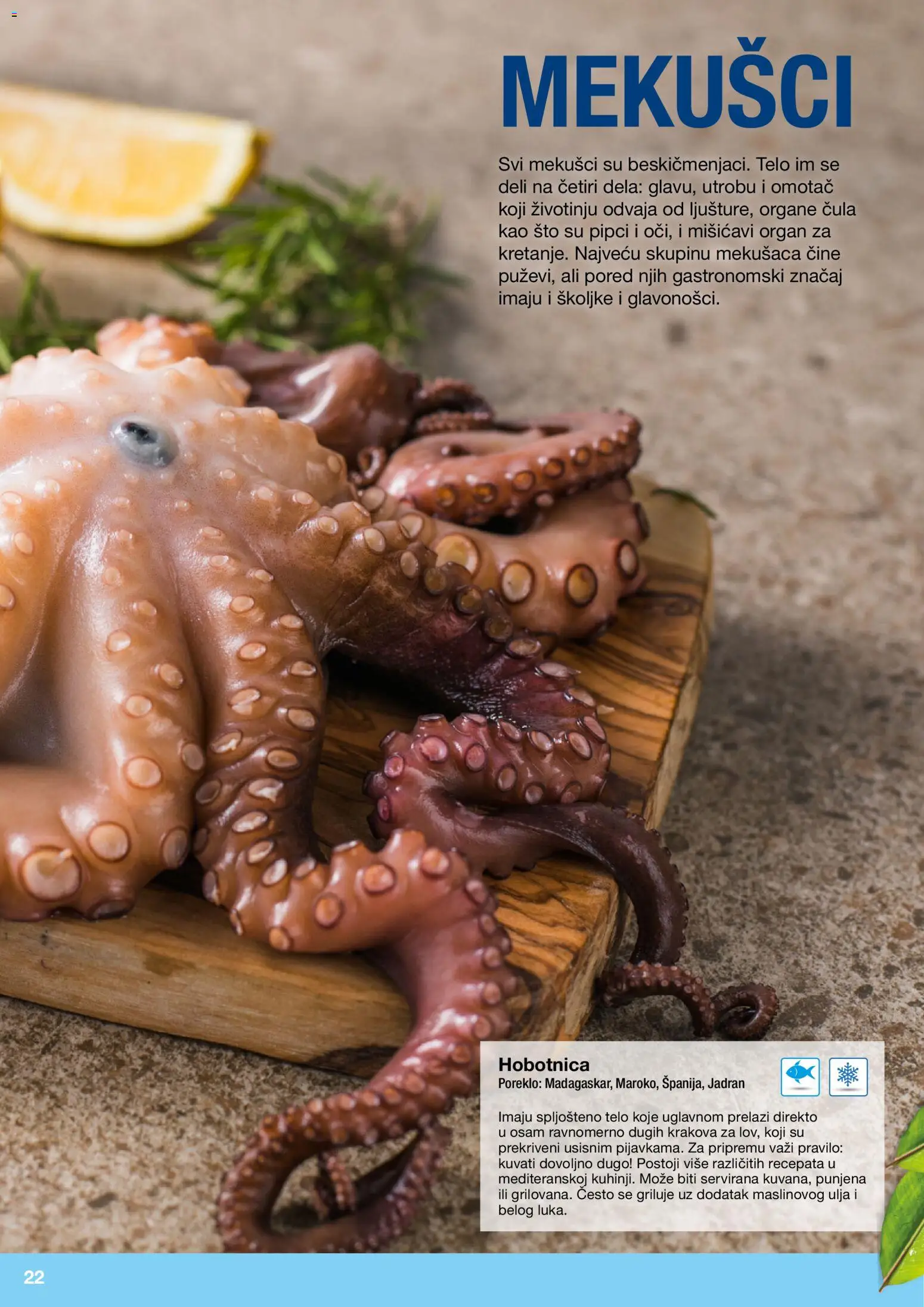 Metro katalog - važi od 10.12.2025 | Strana: 22 | Proizvode: Sto, Hobotnica