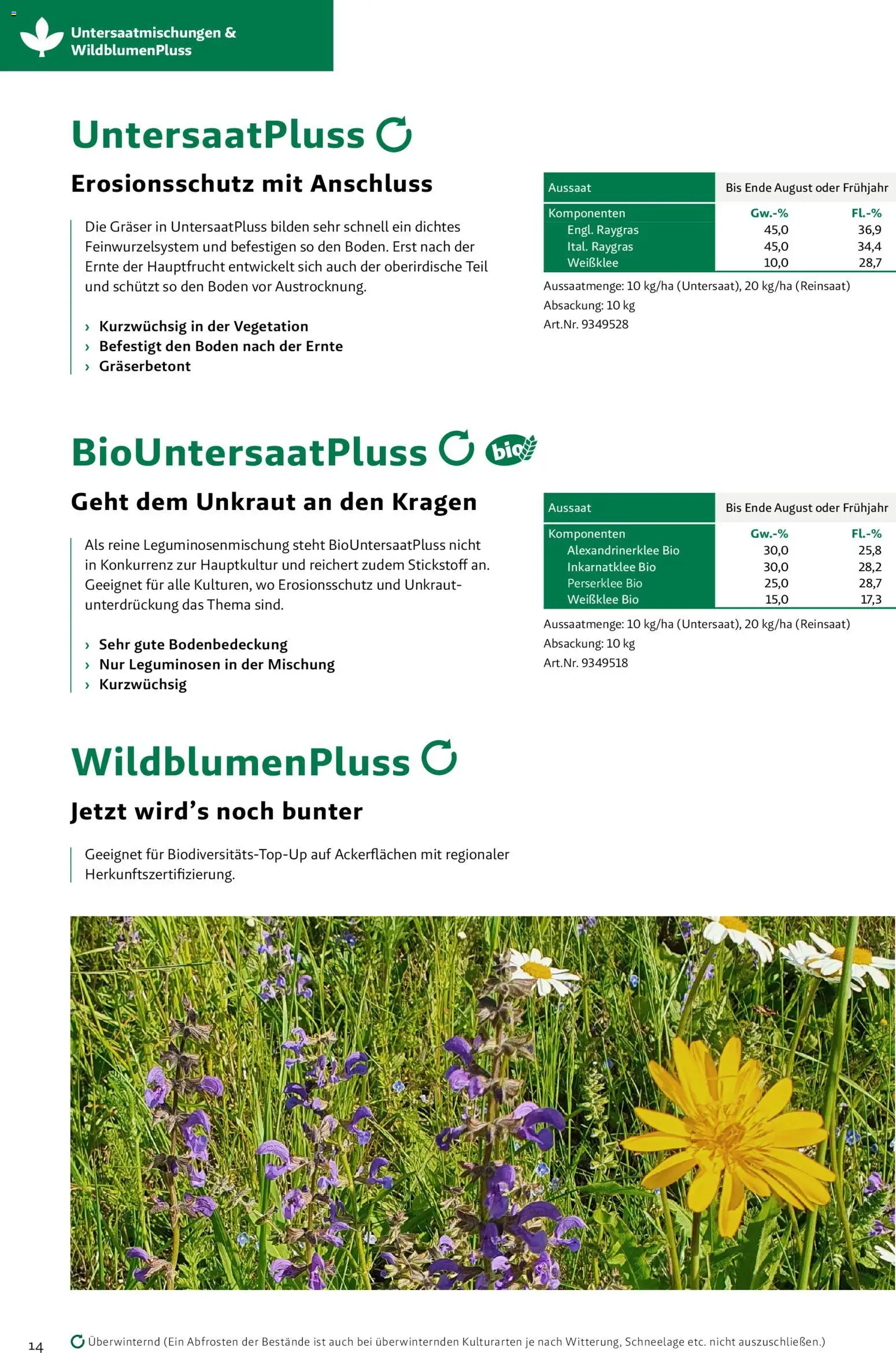 Lagerhaus Zwischenfrüchte und Begrünungen 2026 gültig ab 26.03.2026 | Seite: 14