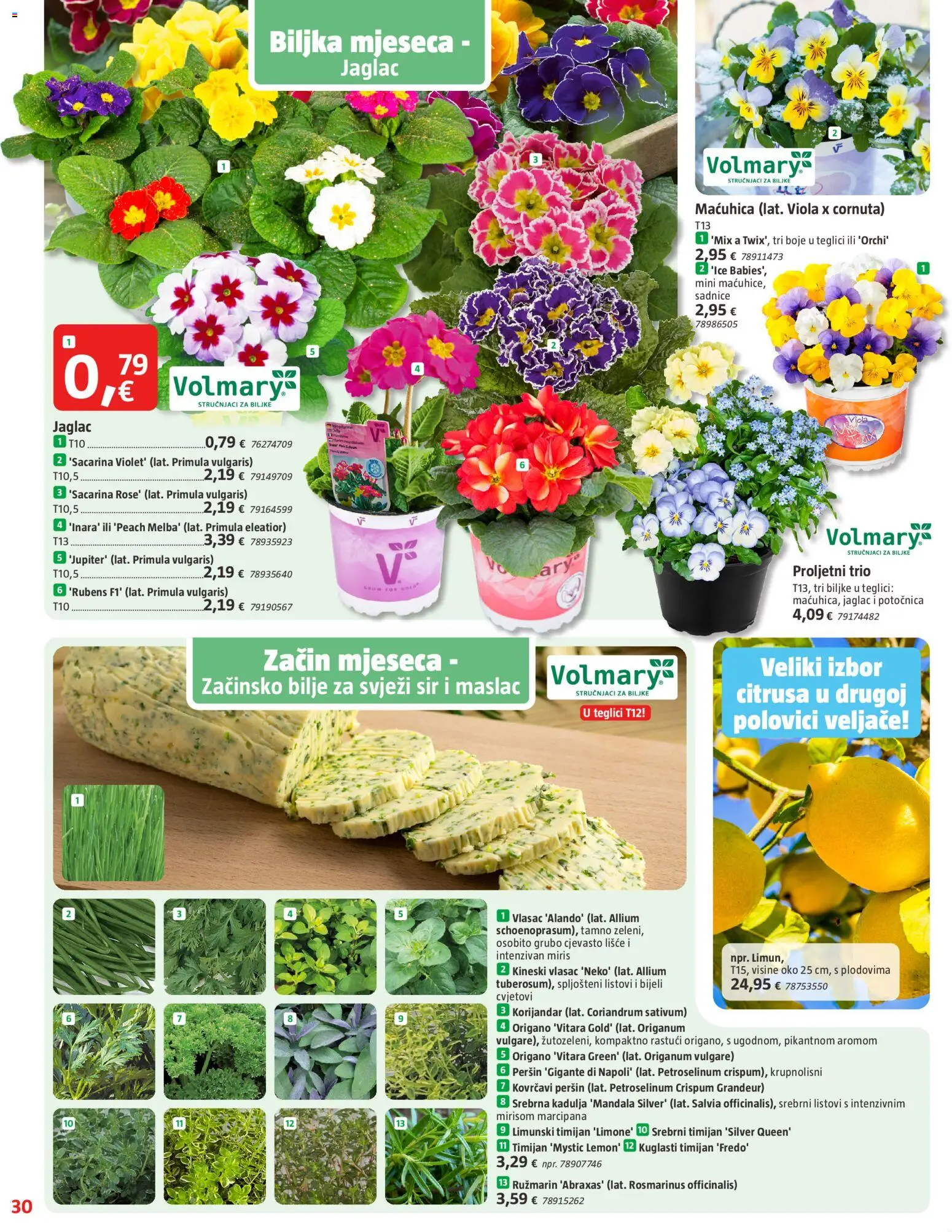 Bauhaus katalog | vrijedi od 29.01.2026 | Stranica: 30 | Proizvodi: Sir, Svježi sir, Ružmarin, Peršin