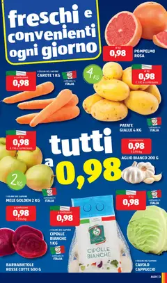 Anteprima del volantino CIPOLLE BIANCHE 1 KG, White onions 1 kg valido a partire dal 12.01.2026 | Pagina: 3