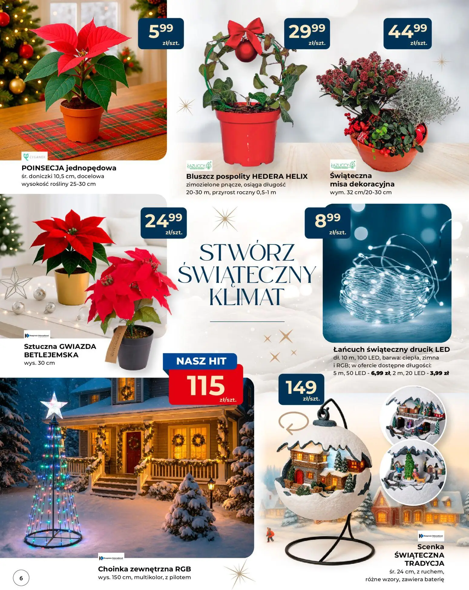 Mrówka Gazetka - Malbork od 04.12.2025 | Strona: 6 | Produkty: Choinka, Helix, Rosliny, Doniczki