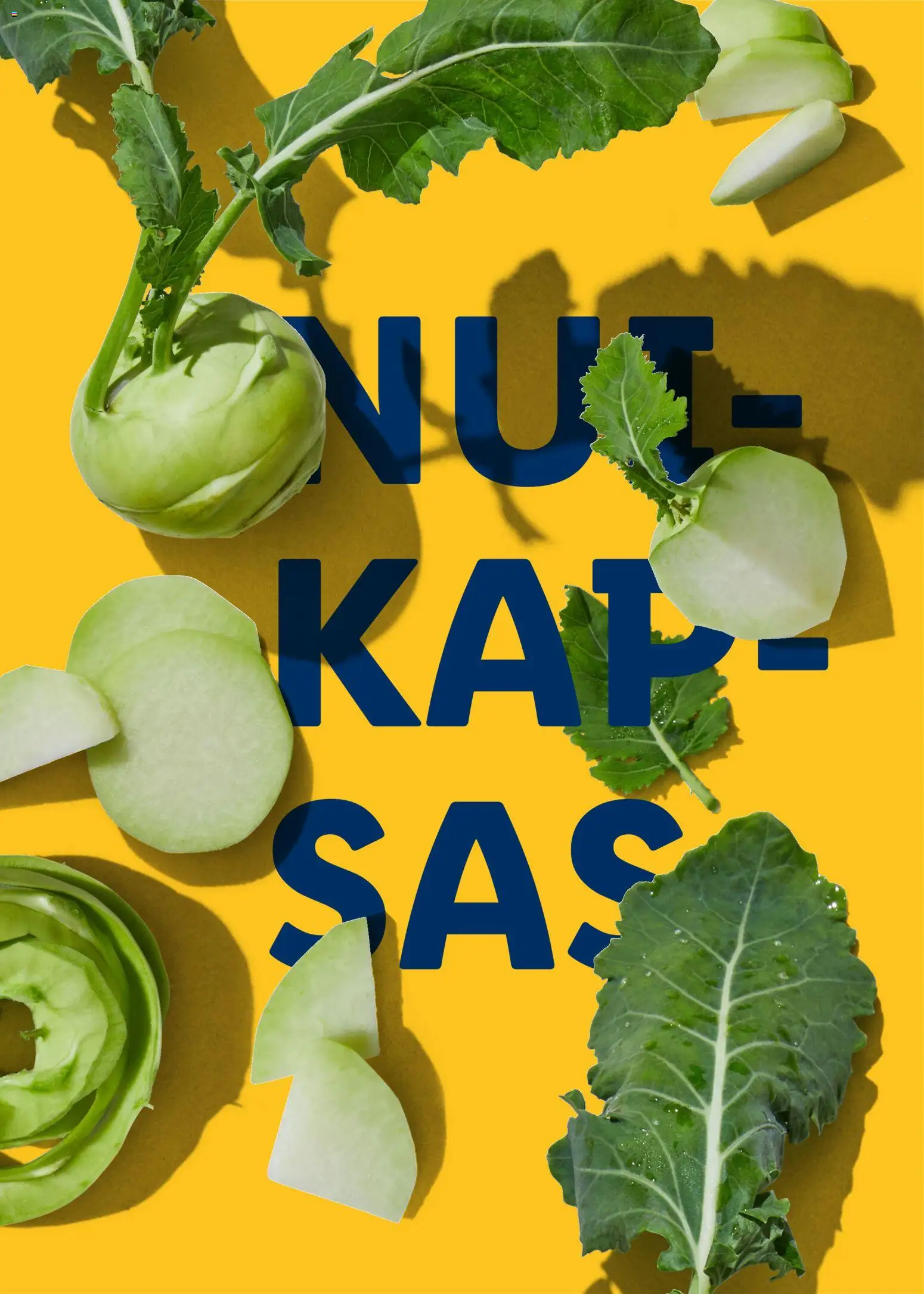 {H1} | Lehekülg: 74