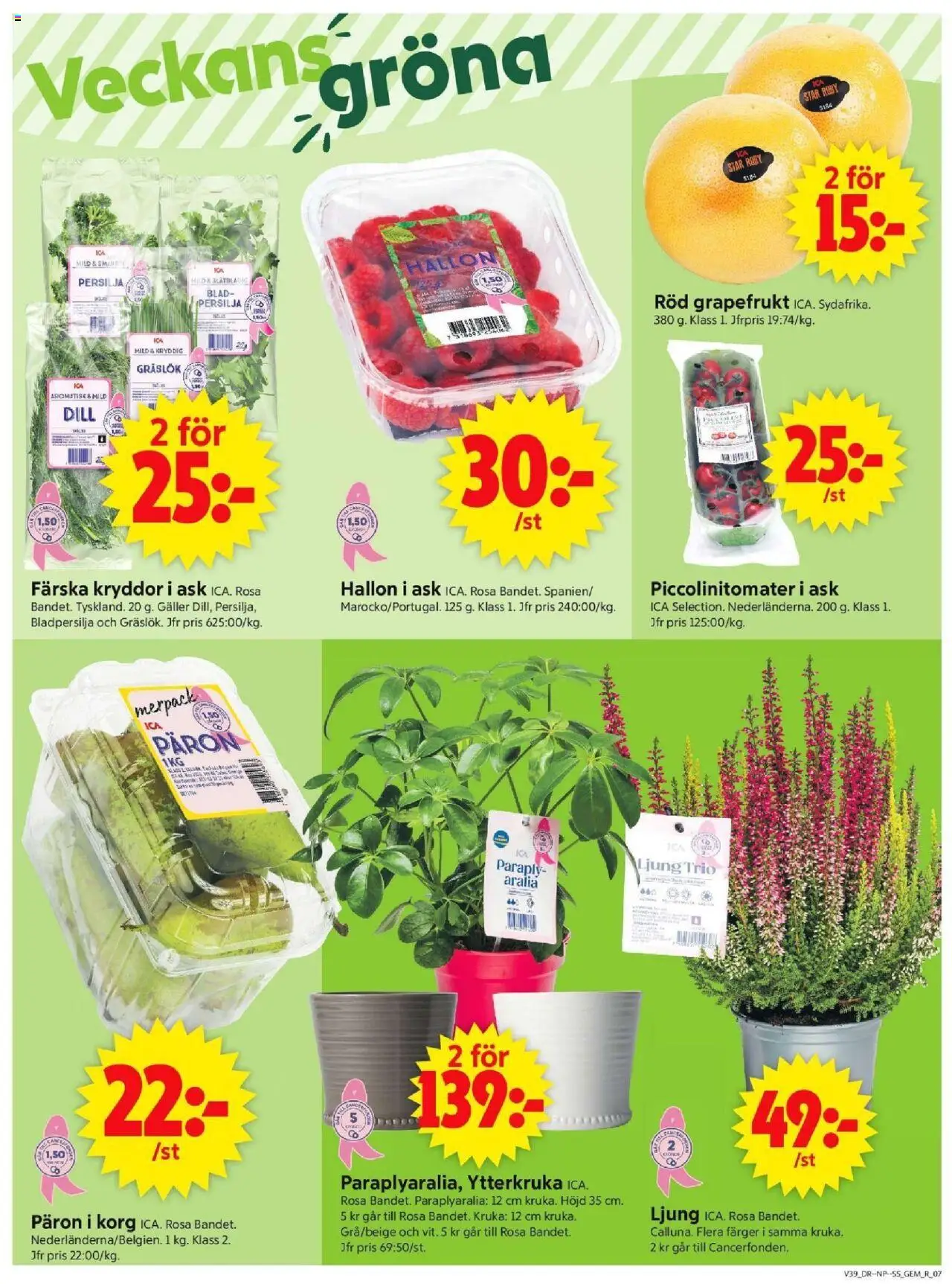 ICA Supermarket reklamblad aktuell från 22.09.2025 | Sida: 9 | Produkter: Galler, Kruka, Korg, Paraply