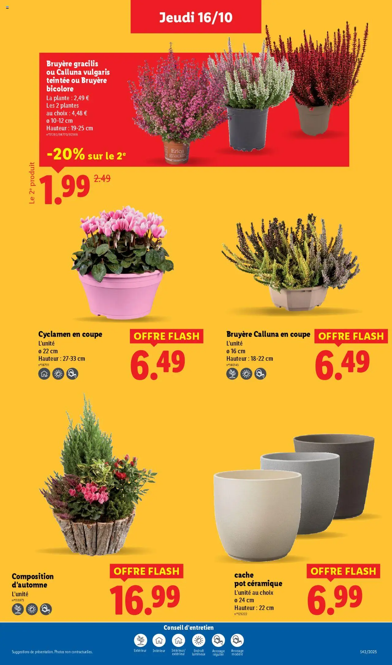 {H1} | Page: 37 | Produits: Plantes