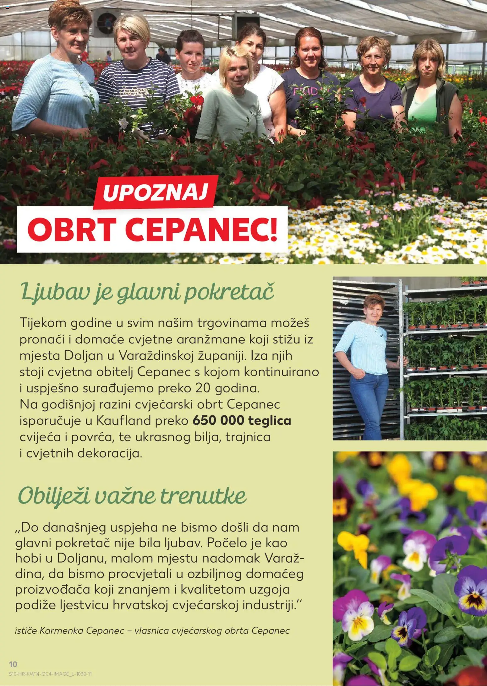 Kaufland HR akciós ujság - amely érvényes a következő dátumtól: 31.03.2026 | Oldal: 10