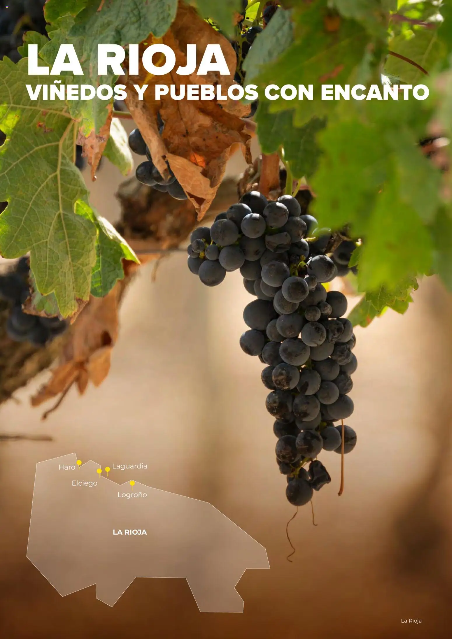 Viajes El Corte Inglés Circuitos exclusivos │ válido desde el 28.03.2026 | Página: 12