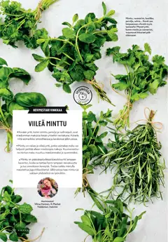 K-Citymarket-mainoslehti voimassa 25.03.2026 alkaen | Sivu: 10 | Tuotteet: Minttu, Voi, Persilja