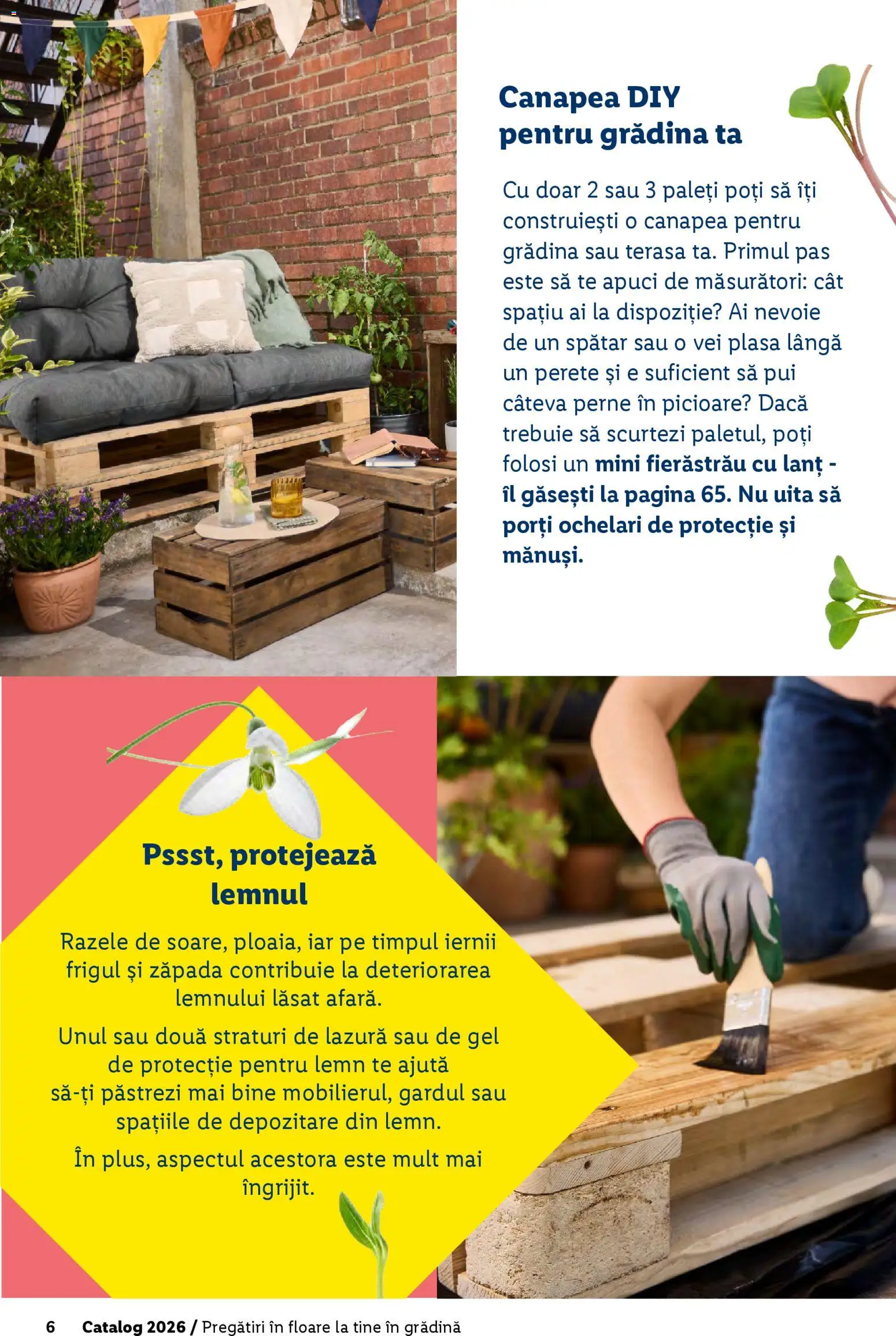 Noul catalog Lidl – valabil de la 19.02.2026 | Pagină: 6 | Produse: Ochelari, Canapea, Hacıyatmaz Kedi Oyuncağı, Lazură