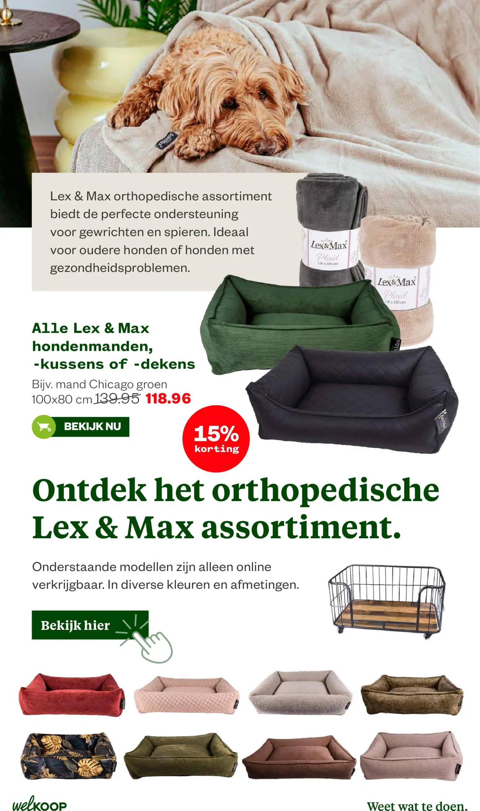 {H1} | Pagina: 31 | Producten: Dekens, Kussens, Mand