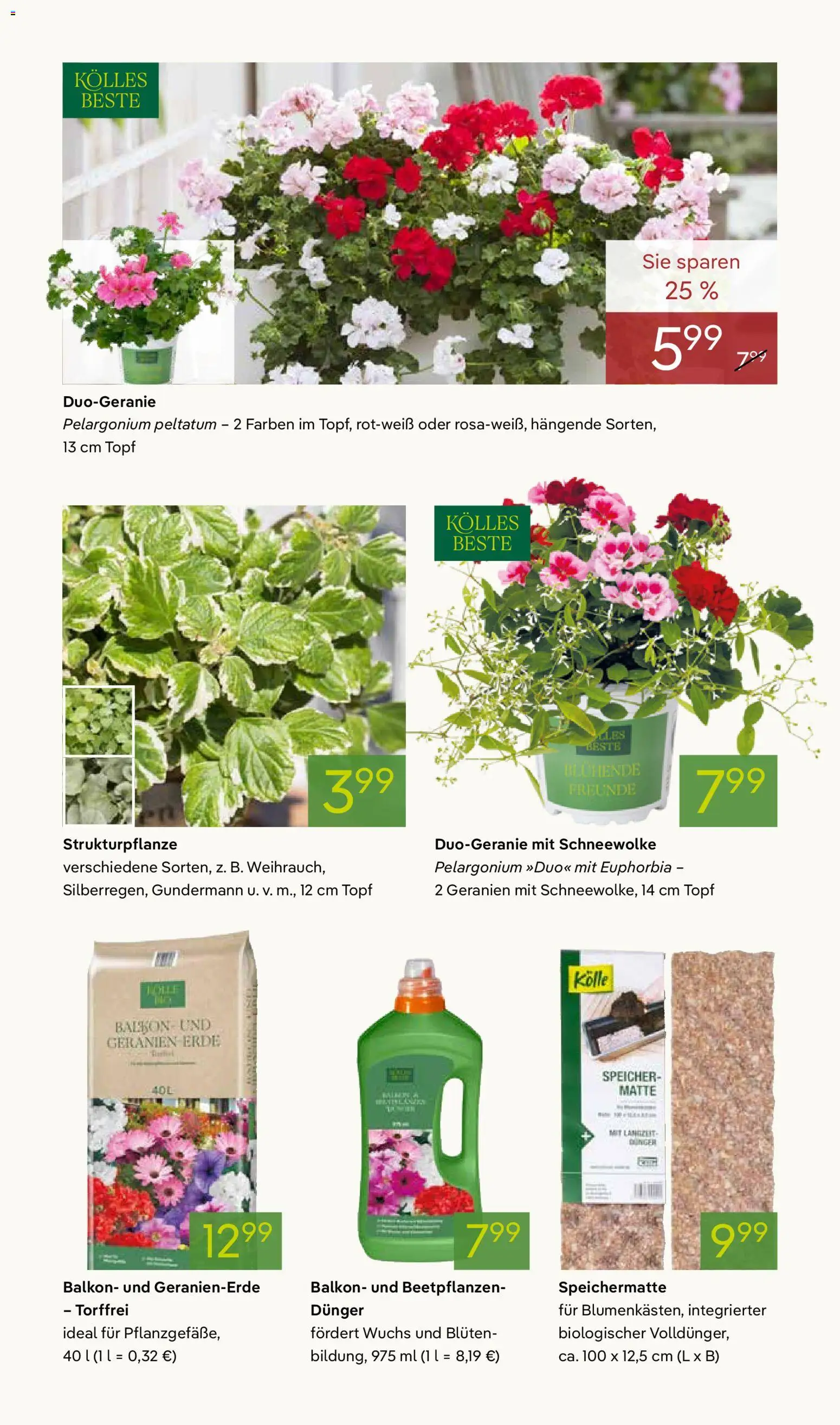 Pflanzen-Kölle Prospekt 	 – gültig ab 13.04.2026 | Seite: 4 | Produkte: Geranien