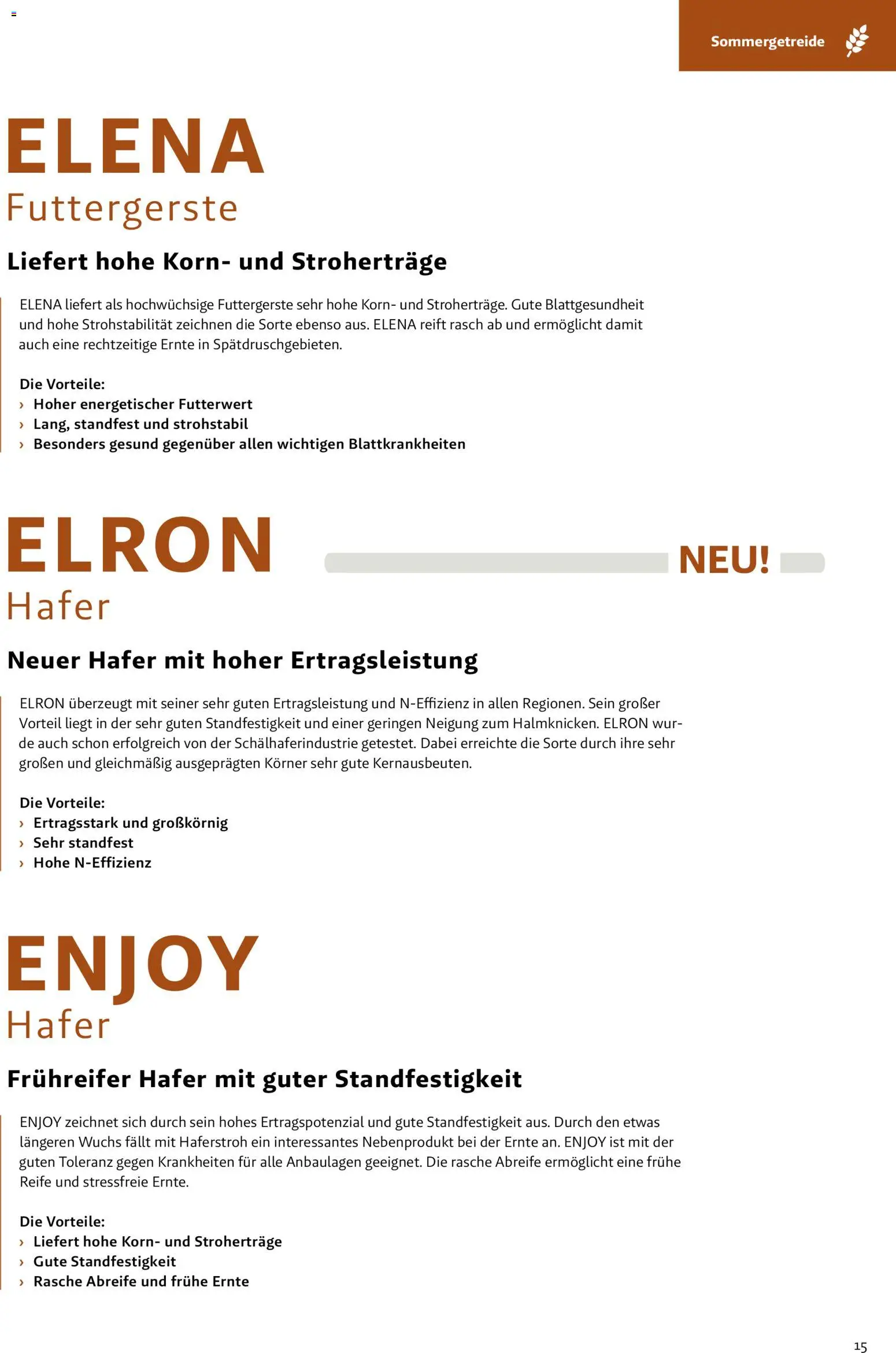 Lagerhaus - Frühjahr 2026 Westliches Niederösterreich gültig ab 01.03.2026 | Seite: 15